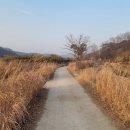 매송면사무소 이미지