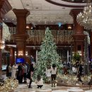 TOP팰리스호텔 | 서울 대형 크리스마스트리 카페 ) 그랜드 머큐어 임피리얼 팰리스 서울 강남 카페 델마르
