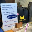 진켈란젤로 | [합정, 상수] 진켈란젤로 치즈케이크 내돈내산후기