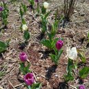 용수리 마을회관 이미지