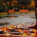 소향공원 이미지