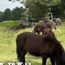 예소담도두점 이미지