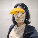 제주 연동 미용실 스토리가있는행복한미용실 : 단발볼륨매직 후기