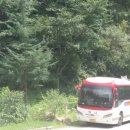 덕산계곡진입로 이미지