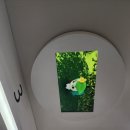 리앤키즈치과의원 이미지