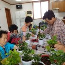 용산1리경로당 이미지