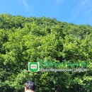 물소리펜션민박 이미지