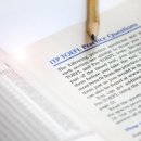 아이비영어학원 이미지