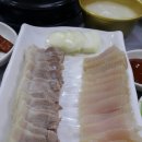 송학홍탁