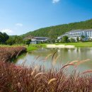 본24골프 이미지