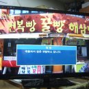 (주)디엘티