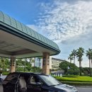 경기사 | 제주도 관광택시 제주 카니발 기사 대절 이용후기!