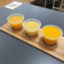 마쓰야마 여행 3,4일: 마쓰야마 성/바이신지 역/마쓰야마 공항