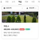 헤윰;소 이미지