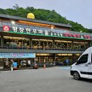 대명교통(마을버스) | [강원도 홍천 :: 평창한우마을 홍천대명점] 오션월드·비발디파크 근처 한우 맛집 후기