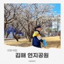 공원 | 김해 연지공원 매화 후기 정리