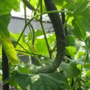 불재농장 이미지