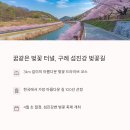 남도삼백리길(10코스) | 구례 섬진강 삼백리 벚꽃길 + 지리산 치즈랜드 수선화 + 섬진강 대숲길