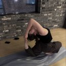 아림애견의 집 | 25년 9월