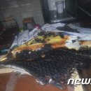 프로포즈모텔 이미지