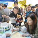 동락공원 반려동물 놀이터 이미지