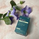 나도 정리전문가, 정리의 마법 | 보스웰리아 섭취 후 체감 후기 및 효과 정리