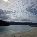 블루메드 | 이시가키 클럽메드 카비라 해변 액티비티 후기 (보트 탈까 말까 고민이면 클릭)