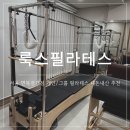 서울면일초등학교 | [서울/면목] 내돈내산 그룹필라테스 추천 룩스필라테스 면목겸재점