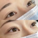 대전 유성 도안동 속눈썹펌 수분펌 추천 후기 | 몬드브로우