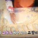 최석구농장 이미지