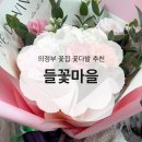 들꽃 | 의정부 꽃집 기념일 꽃다발 추천 들꽃마을 후기