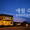 애월의아침 민박 | 제주여행 애월숙소 달작민박 제주독채펜션 후기