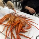 대게좋은집 붉은대게 무한리필 | 주문진 붉은대게 무한리필 간석점 솔직 후기｜가성비 갑 주안 홍게무한리필 맛집