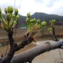 은주농장 이미지