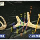 원용농장 이미지