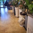 논두렁추어탕, 흑염소 이미지