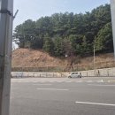 부산시립시민도서관 | 부산시립 시민도서관 방문기 &amp;부전 시장 장보기