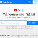 인별그램 릴스 촬영기법 | “초대모” MZ감성 릴스 편집 비하인드🎬