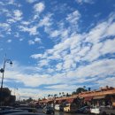 제마동물병원 | [아프리카 🇲🇦 모로코 혼자 배낭여행] 2일차 (마라케시)