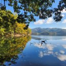 임의규-1 이미지