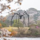 호암가든 이미지