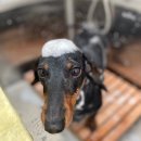 더 예쁘개 이미지