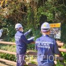 구성4로L 이미지