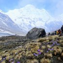 베이스캠프 이미지