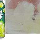 봉봉통신 티스토리