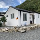 펫704민박 이미지