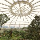 순천만 여행 이미지