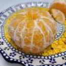 지운농장 이미지