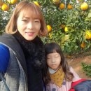 솔봄농장 이미지