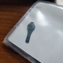 동성모토라드울산